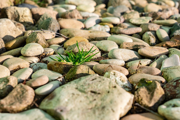 Beautiful background of river stones