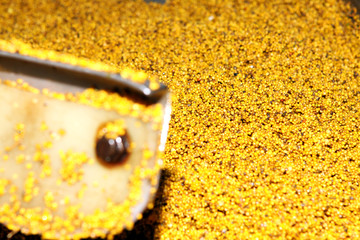 Mustard Powder Factory Making mustard mass from mustard seeds. Innovative equipment for the...