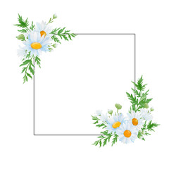 daisy flowers frame