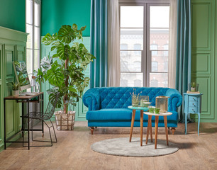 Green living room wall and white window, blue sofa, vae of big plant on the brown parquet with turquoise curtain style.
