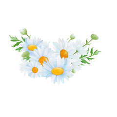 daisies on white background