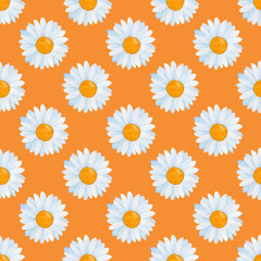 seamless pattern with daisies