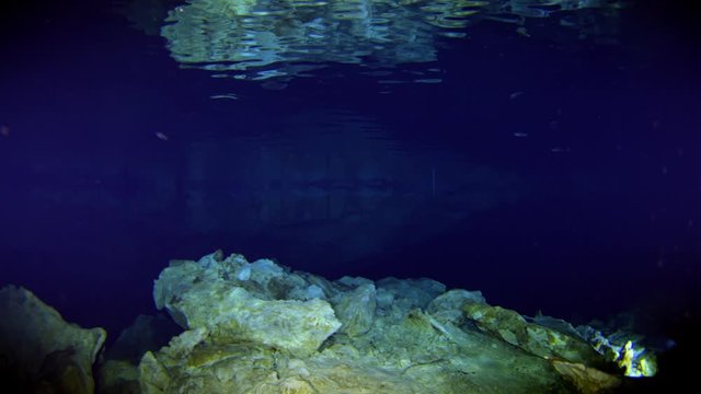 dive into the cenotes, Yucatan, Mexique.