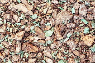 Wood chips texture, abstract close up wooden background.