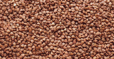 buckwheat. fresh buckwheat. dry buckwheat background buckwheat texture.