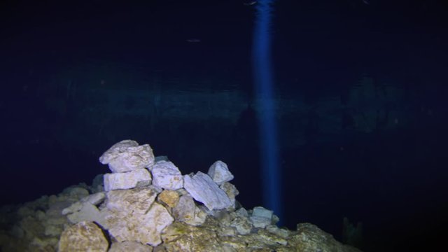 dive into the cenotes, Yucatan, Mexique.