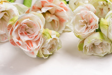 Amaryllis floral background on a light.