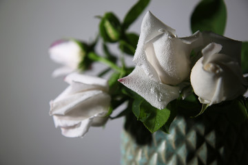 Rose bianche recise in vaso isolato su fondo chiaro, dettaglio