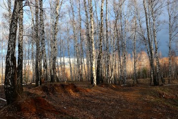 April watercolor painted woods ..
