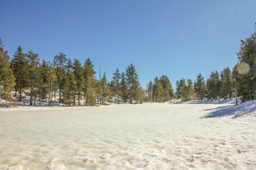 Snow full of textures surrounded by green trees and a beautiful day