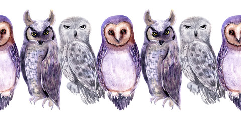Watercolor seamless border with different types of owls