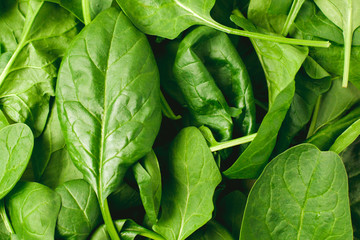 Top view of fresh green organic spinach