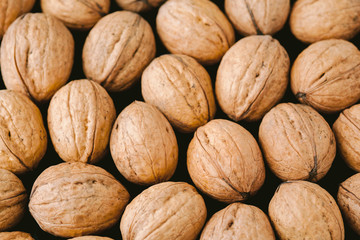 Walnuts with shells on dark background. Background of fresh whole walnuts.