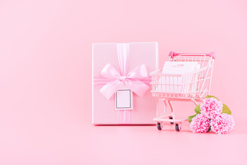 Mother's Day holiday gift design concept, pink carnation flower bouquet with wrapped box, shopping cart, bag, isolated on light pink background, copy space.