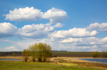 Fototapeta premium spring day in steppe