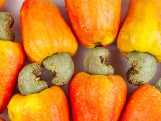 cashew fruit