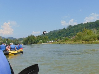 Spływ Dunajcem Pieniny