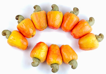 cashew fruit