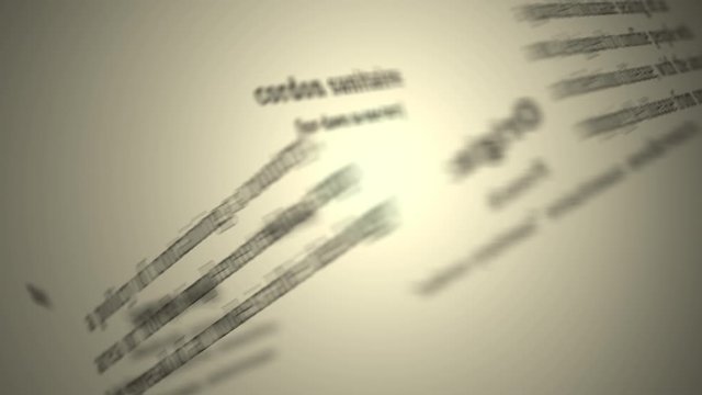 Definition: Cordon Sanitaire 
