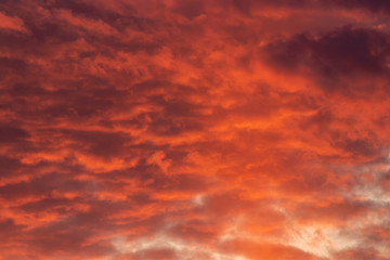 Vivid orange clouds in the sky