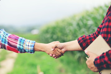 Two business people shake hands at the corn field while working Agribusiness concept