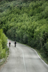 Obraz premium cycling in the forest