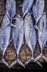 fresh fish on the market