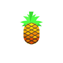 Fresh Pineapple fruit, vector illustration, isolated on white background
