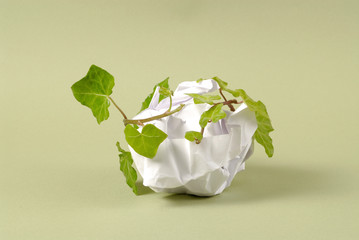 Emballage recyclable, préservation de l'environnement, papier
