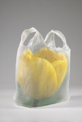 Emballage recyclable, préservation de l'environnement, sac plastique