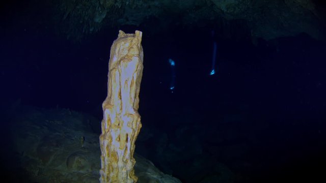dive into the cenotes, Yucatan, Mexique.