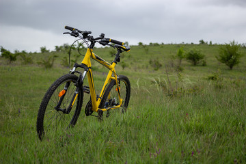 Fototapeta na wymiar Yellow bicycle on green grass