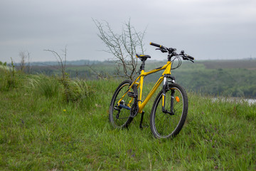 Fototapeta na wymiar Yellow bicycle on green grass