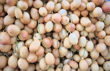 rambai fruit yellow fruit background Tropical asia fruit Yellow background Green branches