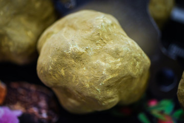 fresh truffles close up view