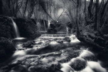 Ruisseau et petites cascades dans les bois. Pose longue, photographie noir et blanc.