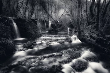 Photo sur Plexiglas Noir et blanc Ruisseau et petites cascades dans les bois. Pose longue, photographie noir et blanc.