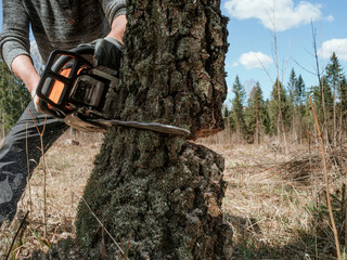 lumberjack cuts down trees with a chainsaw