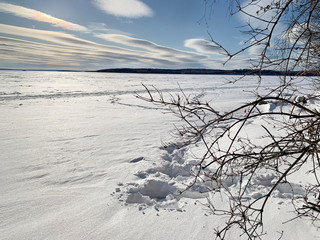 Fototapeta na wymiar Russia, Chelyabinsk region. Tree branches on the background of lake Uvildy in sunny winter day