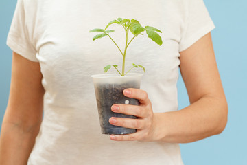 Woman holding a can in her hand with a green seedling of young tomato.