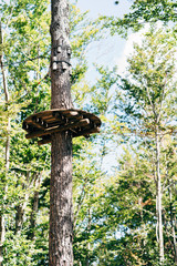 Climbing park high in the trees. Obstacle course in amusement park. Outdoor sports activity. Challenge adventure solo sport. High ropes element in the woods.