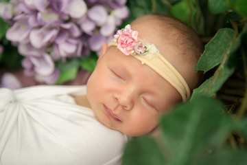 Obraz na płótnie Canvas Sleeping beautiful newborn baby girl