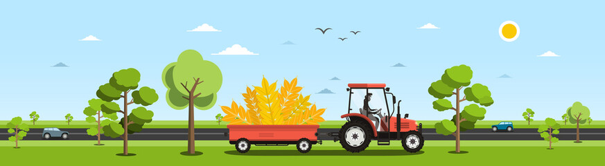 Harvesting Crops Vector Illustration. Tractor with Ear of Wheats on Trailer and Cars on Street on Background. © handatko
