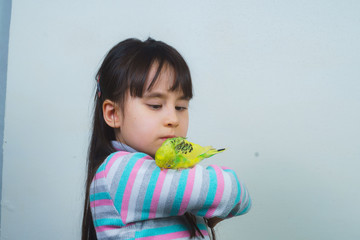 the child plays and communicates with his green hand-wavy parrot. Tamed Pet
