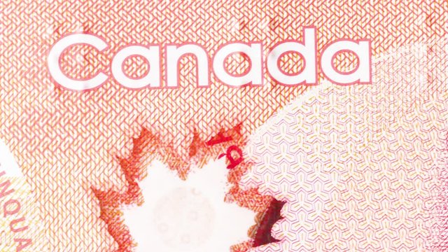 Close up macro animation in stop motion shot of a Canadian  money CAD Dollar bill