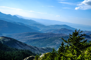 Mountains peak through fog, Bratocea pass, Ciucas mountains, Brasov county, Romania, 1720m