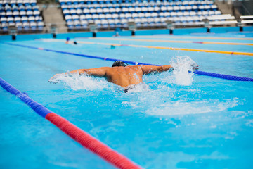 Athletic man swimming in butterfly style in the swimming pool with clear blue water.