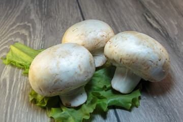 Raw champignons ready for cooking. Fresh mushrooms, as a concept of a diet or vegetarian food.