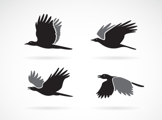 Vector group of black crow flying on white background. Birds. Animals. Easy editable layered vectors illustration.