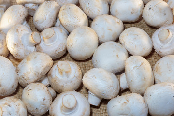 Fototapeta premium Raw champignons ready for cooking. Fresh mushrooms, as a concept of a diet or vegetarian food.
